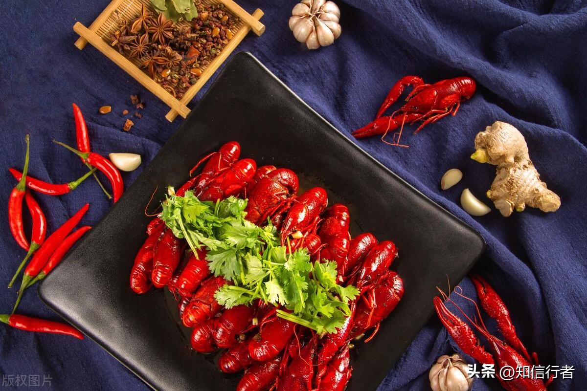 传统思维怎么做自媒体赚钱,一个人如何做自媒体赚钱