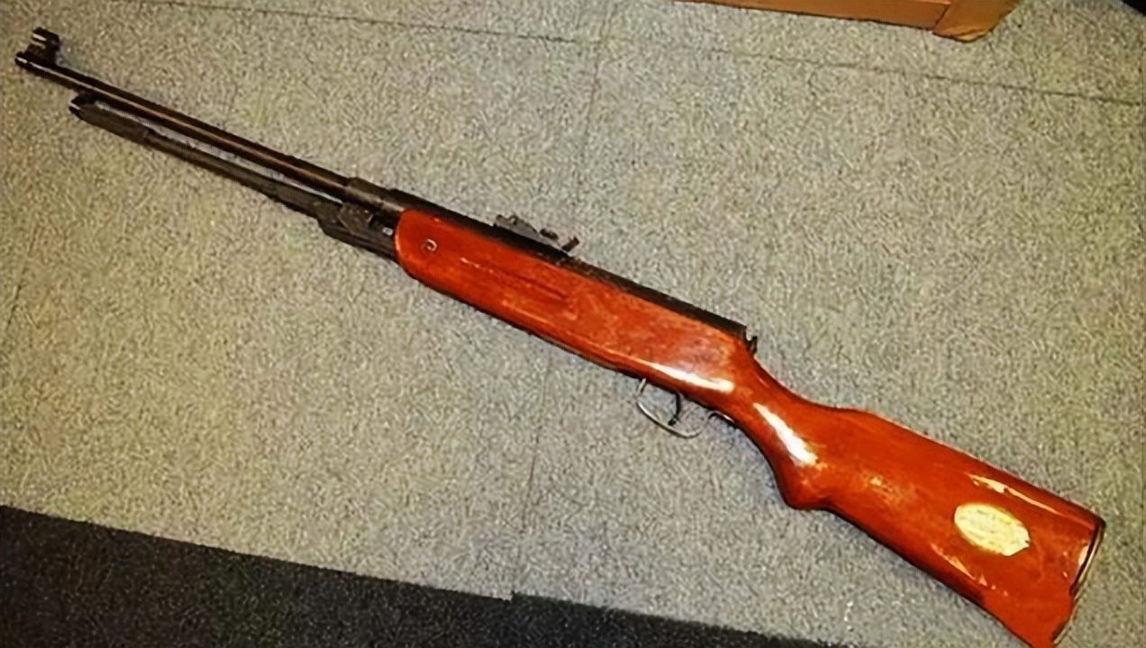 老款狮牌气枪,90年代狮牌气枪