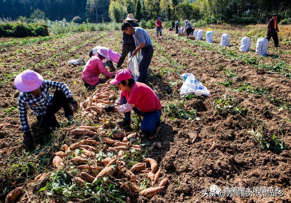 2022年乡镇工作亮点,2022年乡镇工作亮点和特色汇报