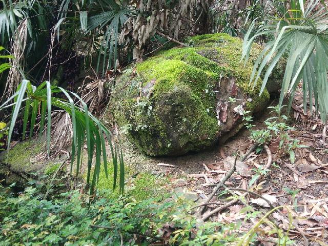 关于福报的诗句,福报耗尽的8大征兆