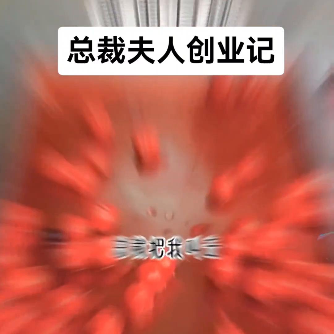 总裁夫人打工记完整版,总裁夫人打工记合集