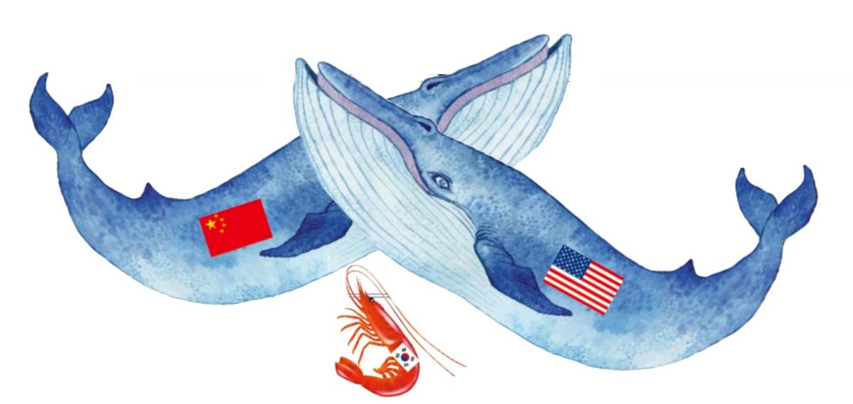 中美关系有两颗“雷”，美国重组“*华反**团队”，韩国结局或很悲惨