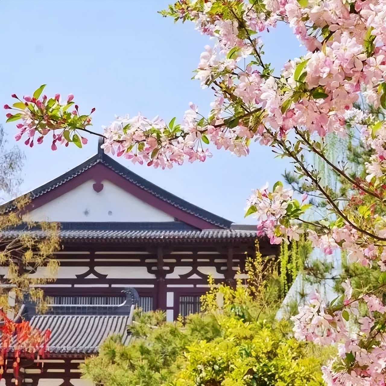 如诗如画的美景歌曲,如诗如画的曲子