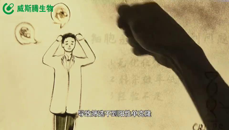 威斯腾生物医药科技,威斯腾生物联系方式