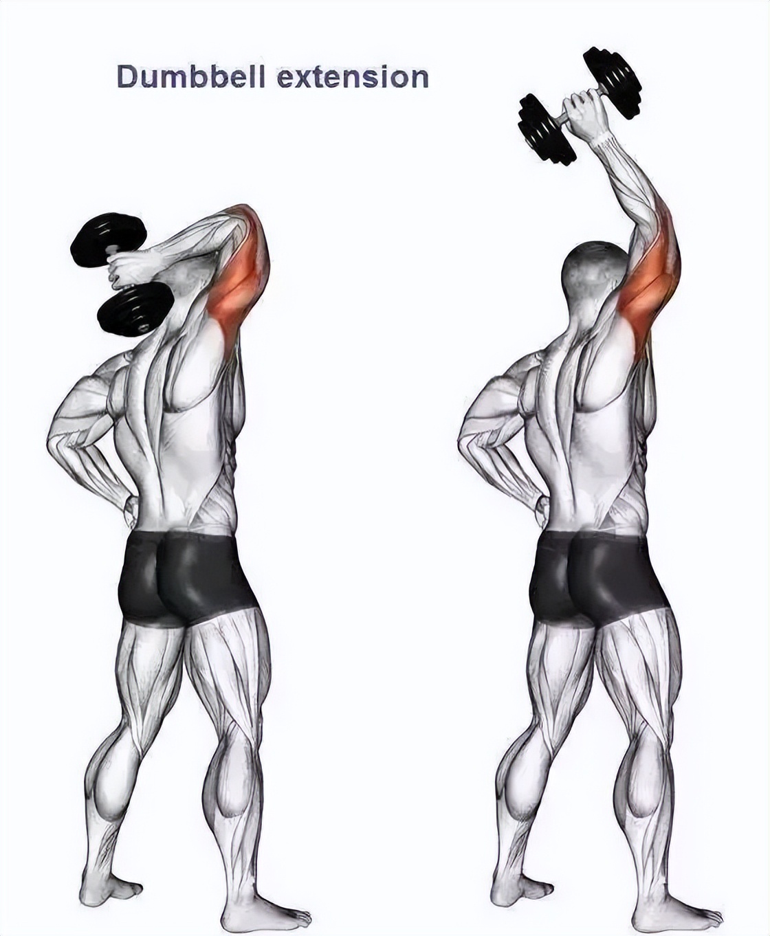 4分钟在家健身训练方法有哪些呢,不用去健身房在家照样拥有好身材