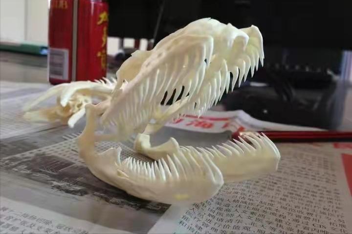 在农村被毒蛇咬了怎么处理,野外毒蛇咬伤怎样自救