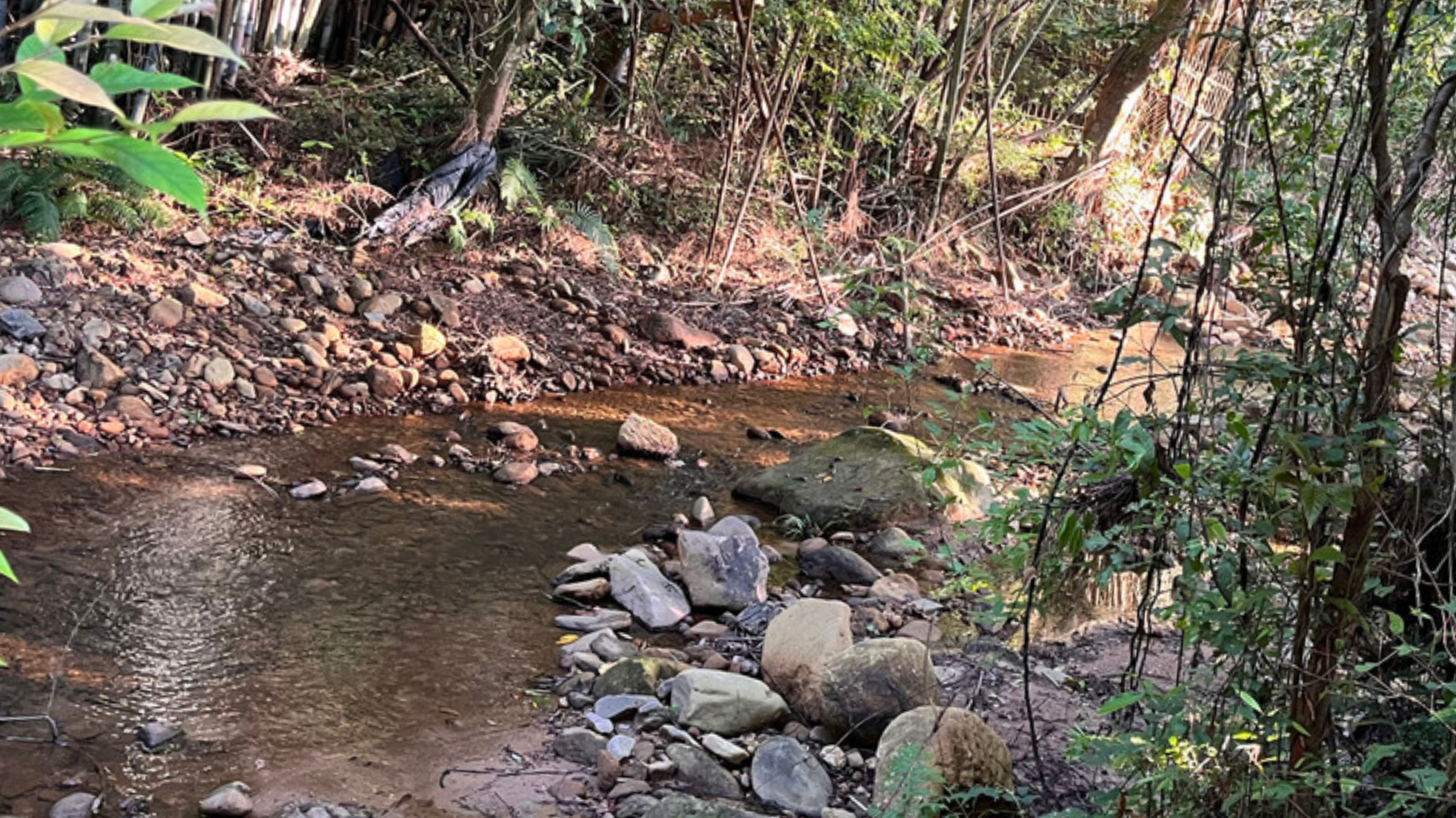 广东最值得推荐的温泉度假村,广东第一峰温泉是真温泉