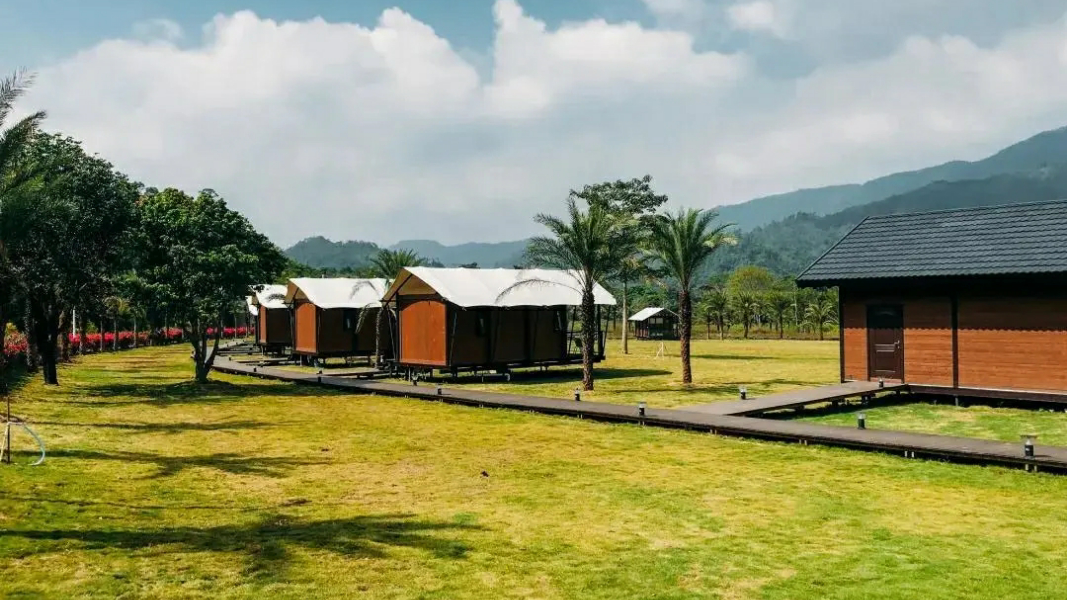 惠州赏梅花地方,惠州惠东梁化镇梅园