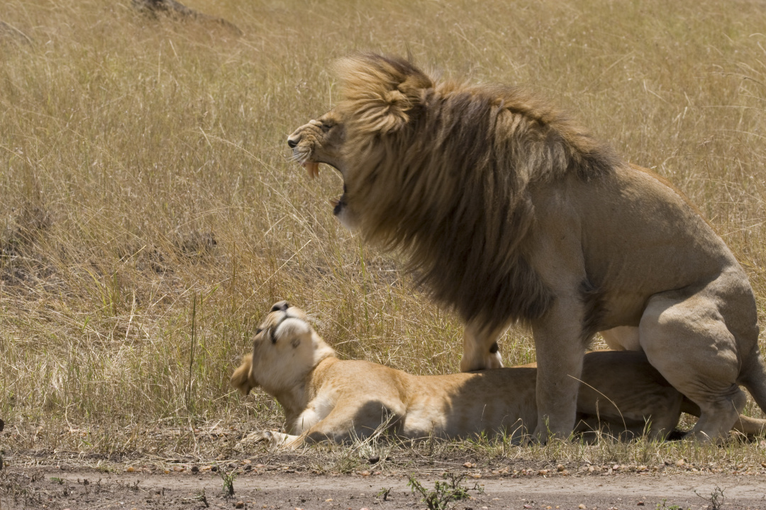今天,我们聊聊*爱性**
