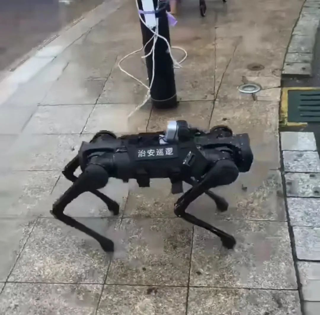 遛机械狗兼职,遛机械狗