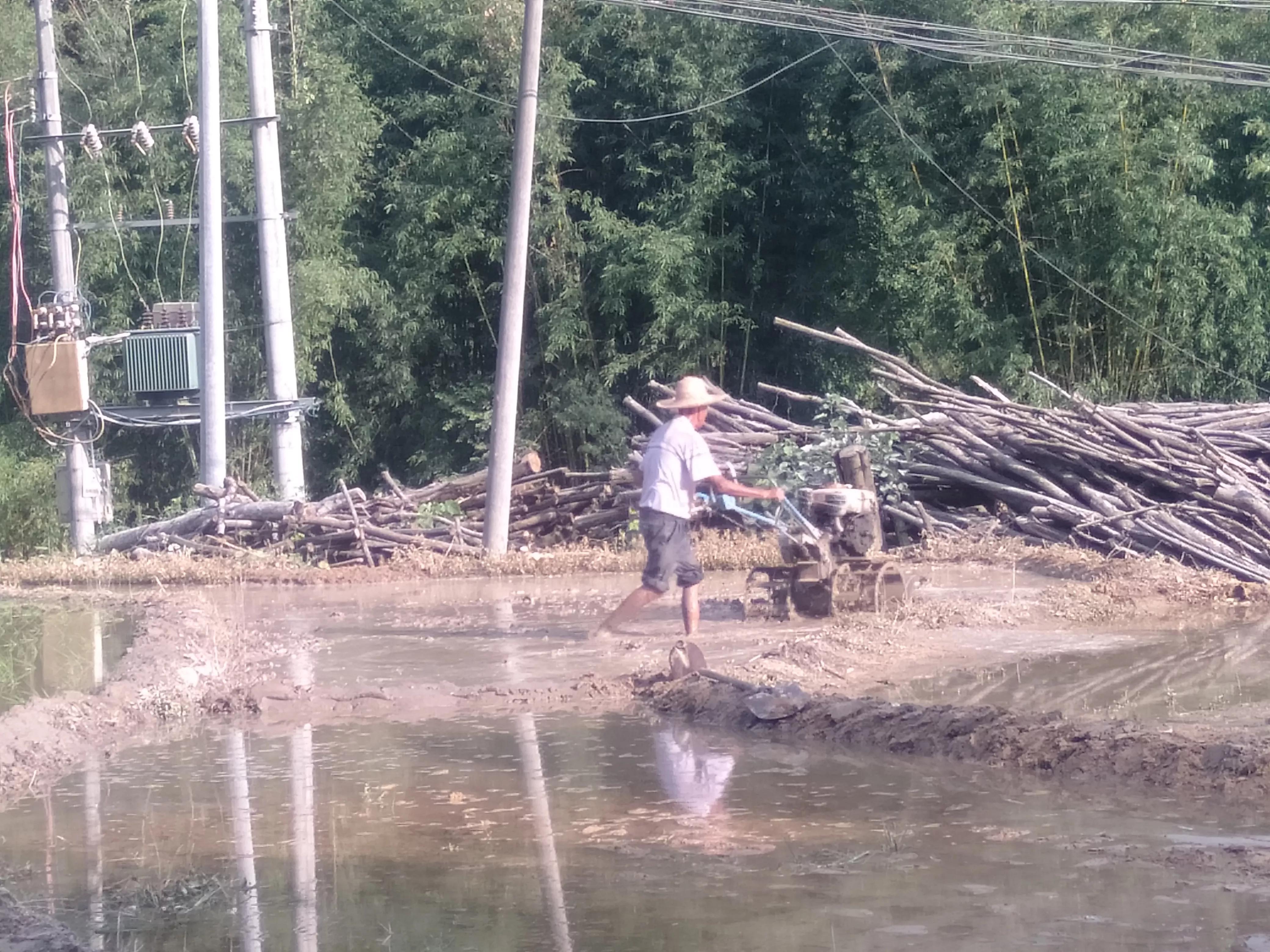 被寄予厚望的微耕机是如何被农民当烂铁卖掉的呢