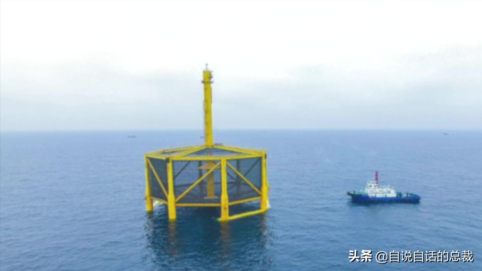 三文鱼水光真假分辨,哪种才是真正的三文鱼