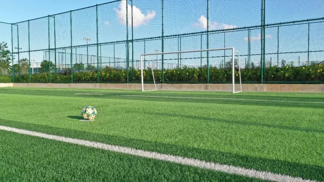 “藏身”足球体育公园下的福田水质净化厂