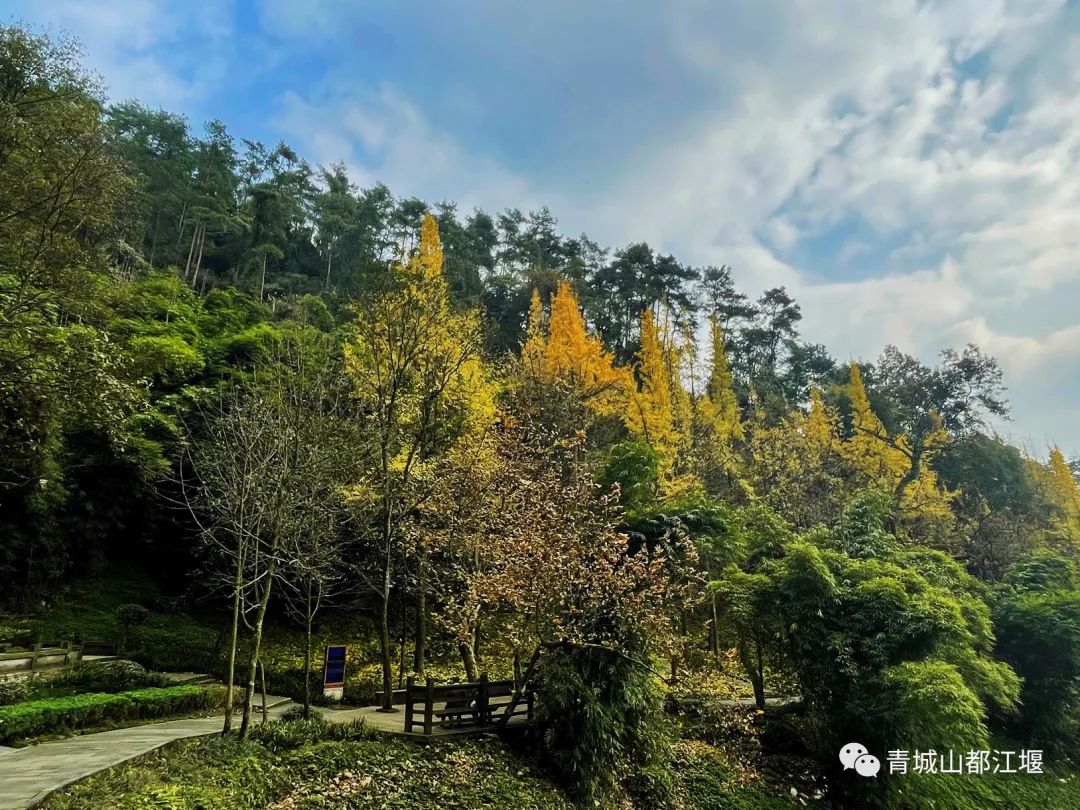 立冬气温仅13℃!快来领取都江堰专属的『入冬四件套』,品围炉暖食、享竹林温泉......成都1.5h直达~