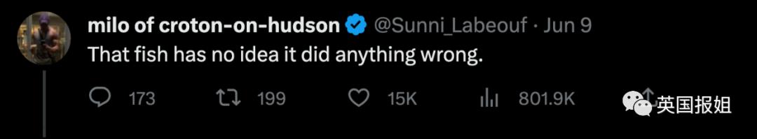 俄罗斯男子在海边被鲨鱼咬死,俄罗斯男子被鲨鱼咬死鲨鱼被捕