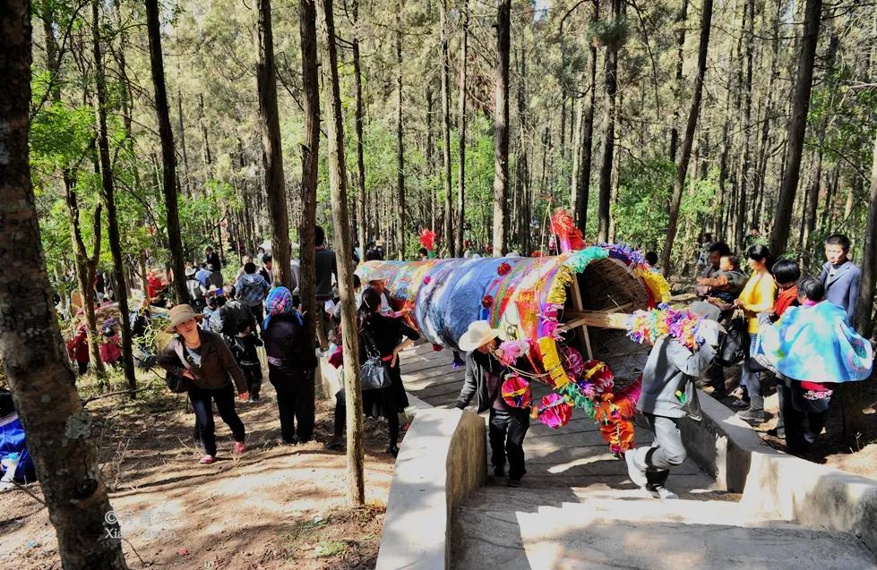 阳宗为什么要修高铁站,我国最心酸的高铁站阳宗站