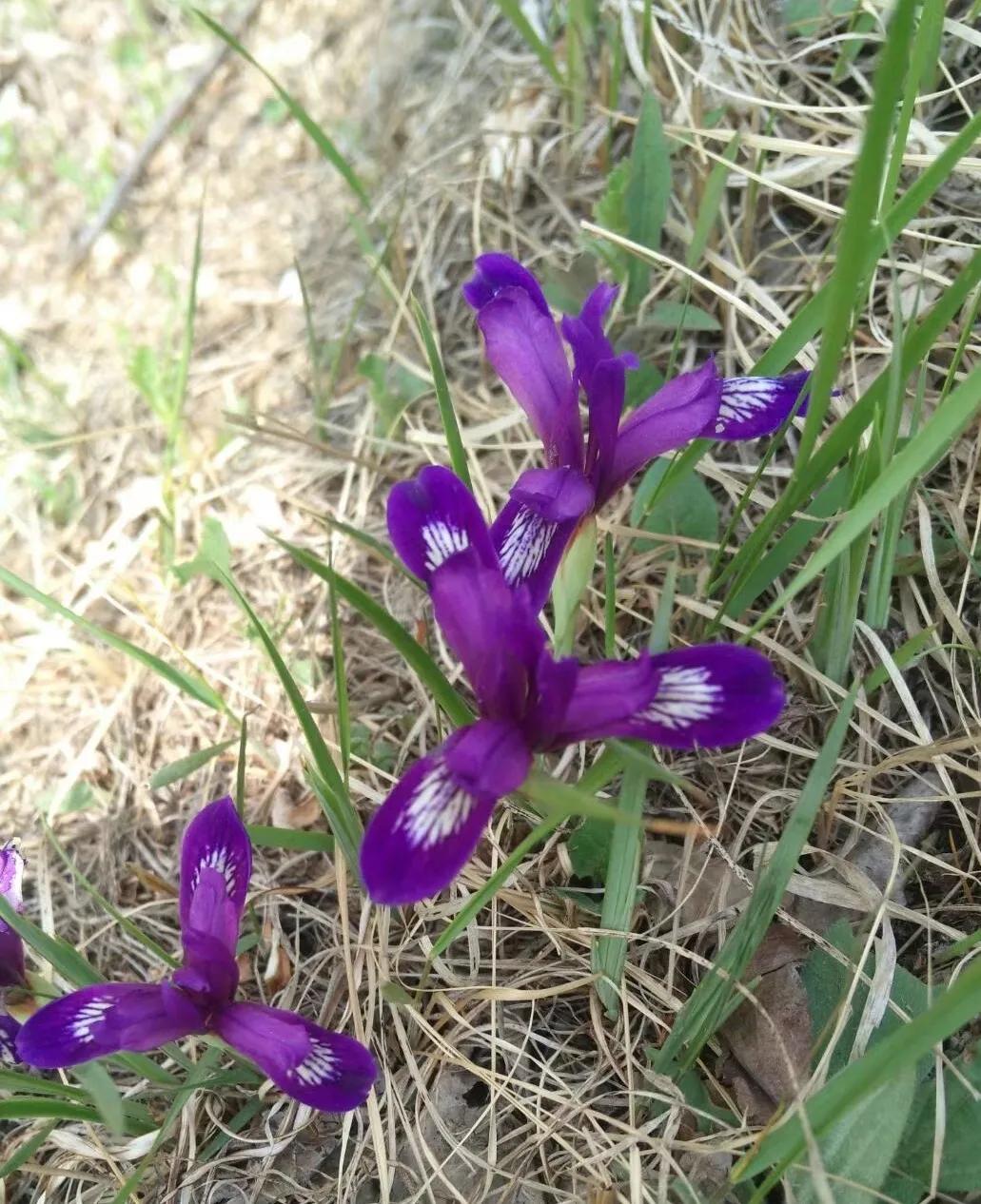 收获在春天里,春天播种秋天收获