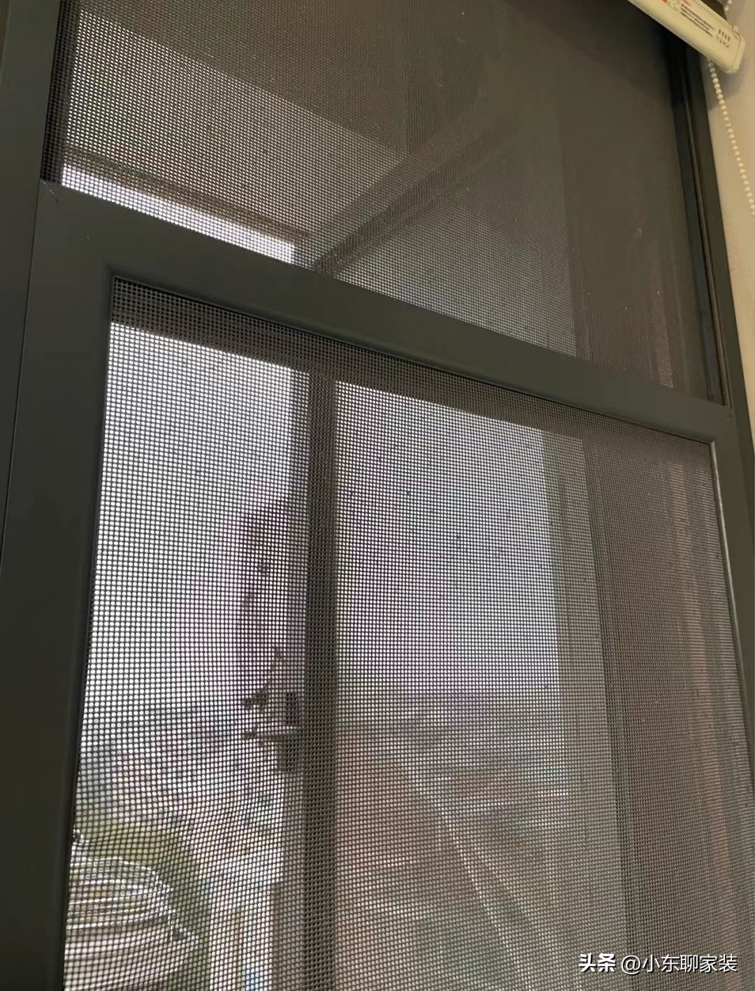 为什么红极一时的金刚网纱窗“跌下神坛”?不解决这些,终被淘汰