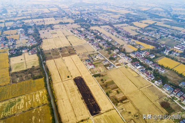 农村个人宅基地自建房国家政策,农村宅基地占用耕地政策