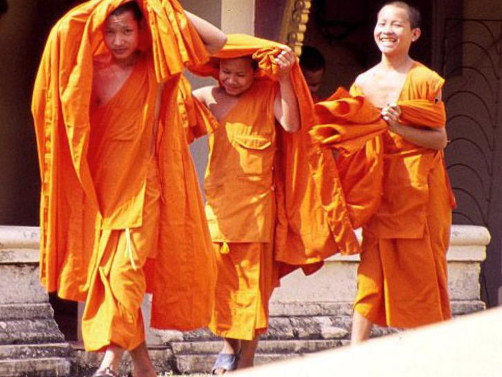 国外藏红花多少钱一只,藏红花过去便宜现在为什么贵