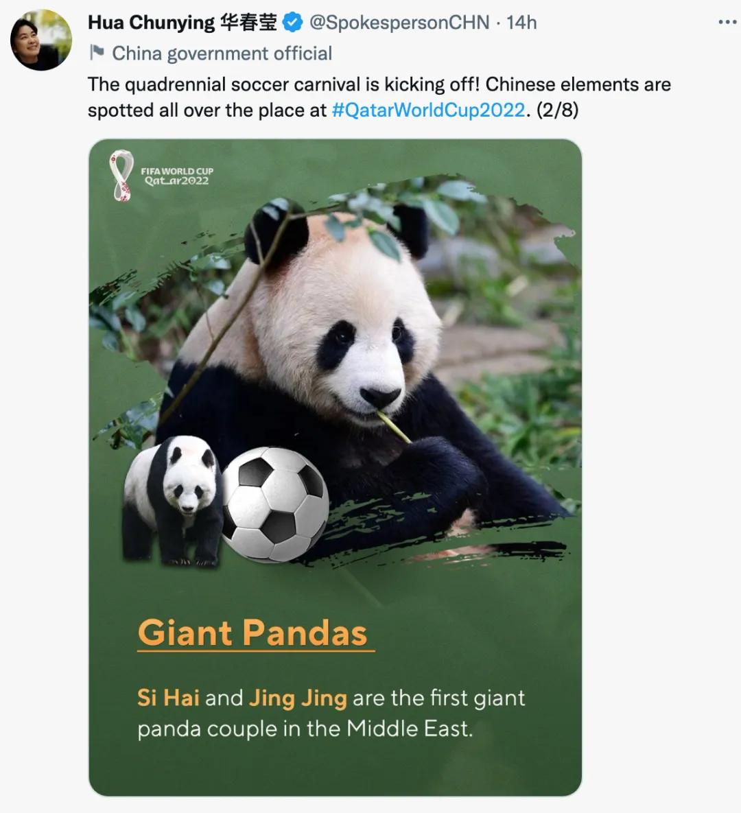 世界杯我们来了原版,世界杯要来了