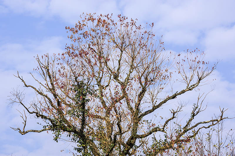 黄山市到皖南川藏线自驾游攻略,黄山市到徽州古城旅游攻略路线图