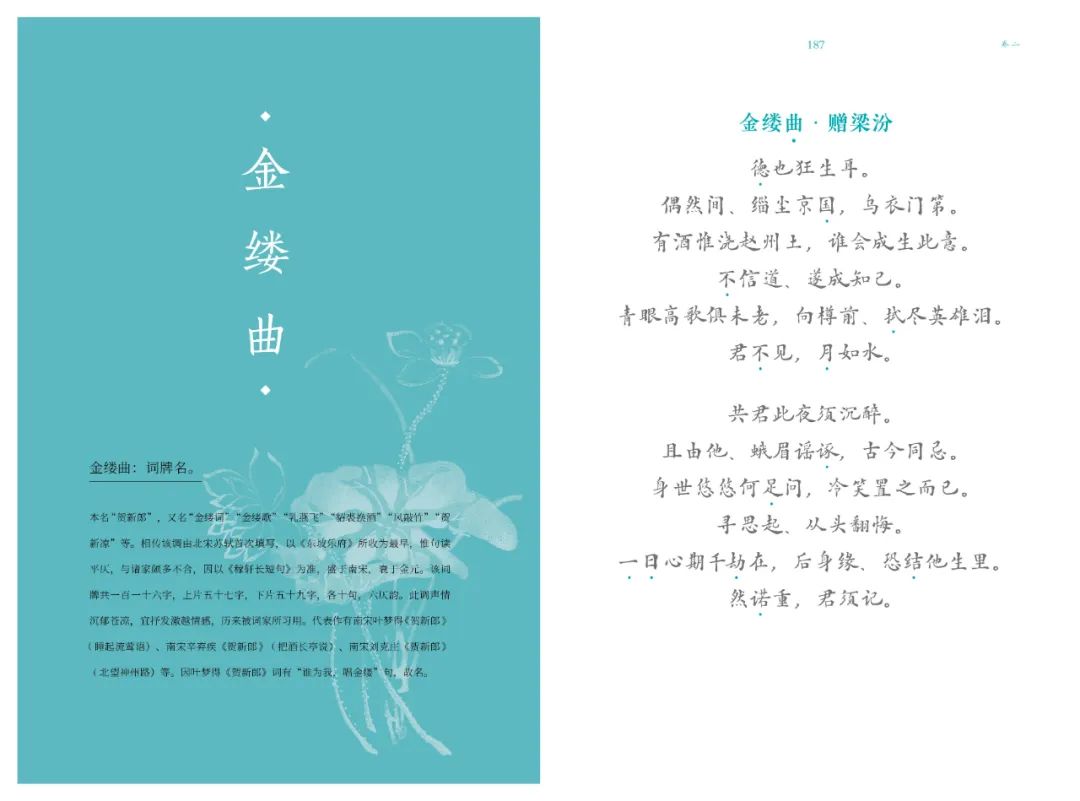 叶嘉莹吟诵纳兰词视频,叶嘉莹诵读纳兰词是啥样的