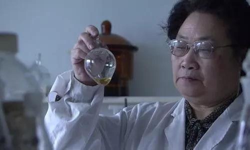 杂交水稻研究在继续吗,杂交水稻研究的艰辛