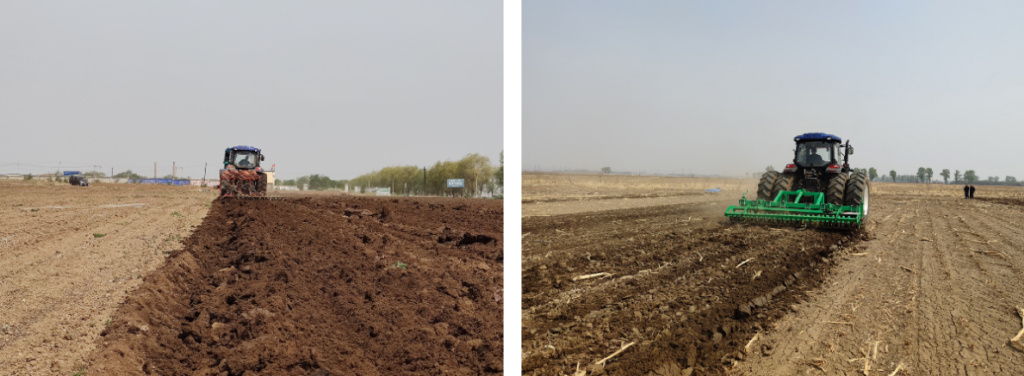 保护黑土地端牢中国饭碗,中央对东北黑土的政策