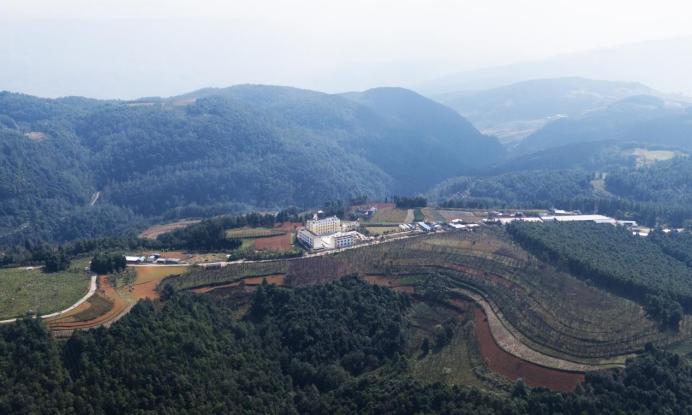 大美小鸟专卖店,大美小鸟五一活动