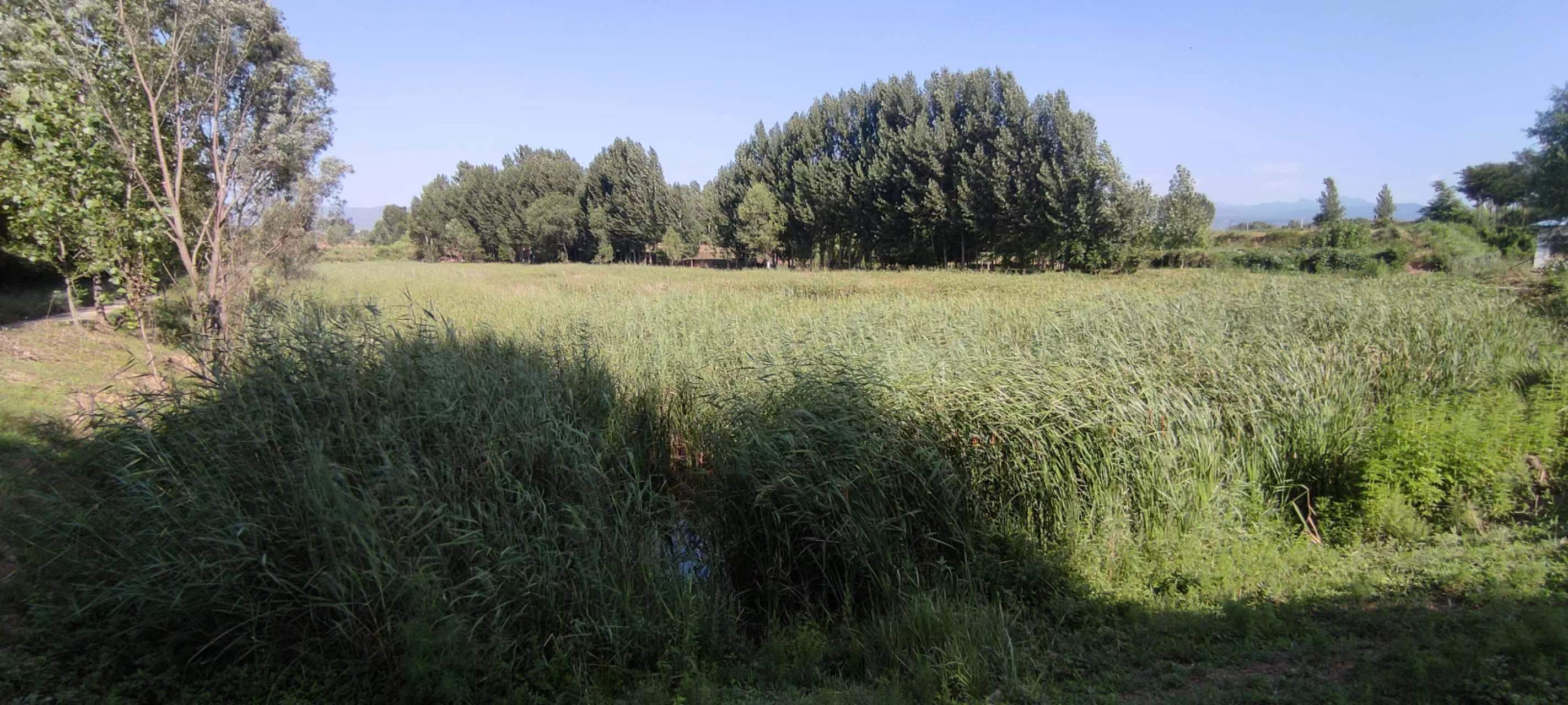 古中国考出彭蠡泽｜张笔魁