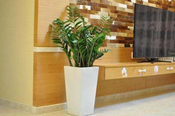 家装如何去除甲醛最有效的方法,家装去除甲醛最快最有效的方法