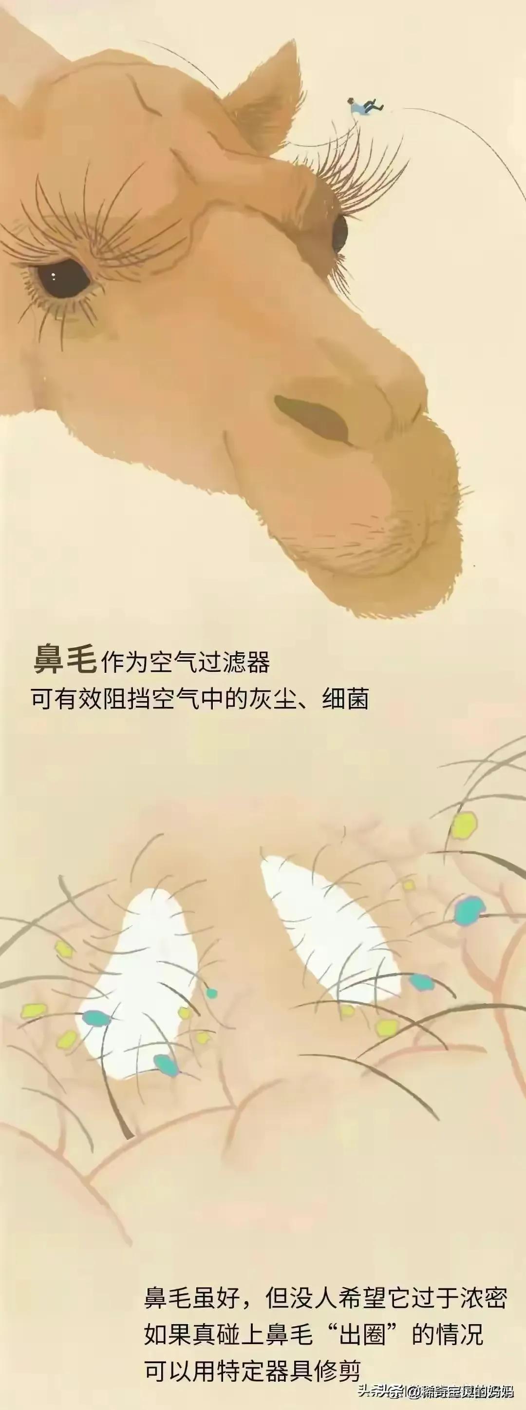 人类的毛发都是黑色的吗,人类体毛是为了什么存在的