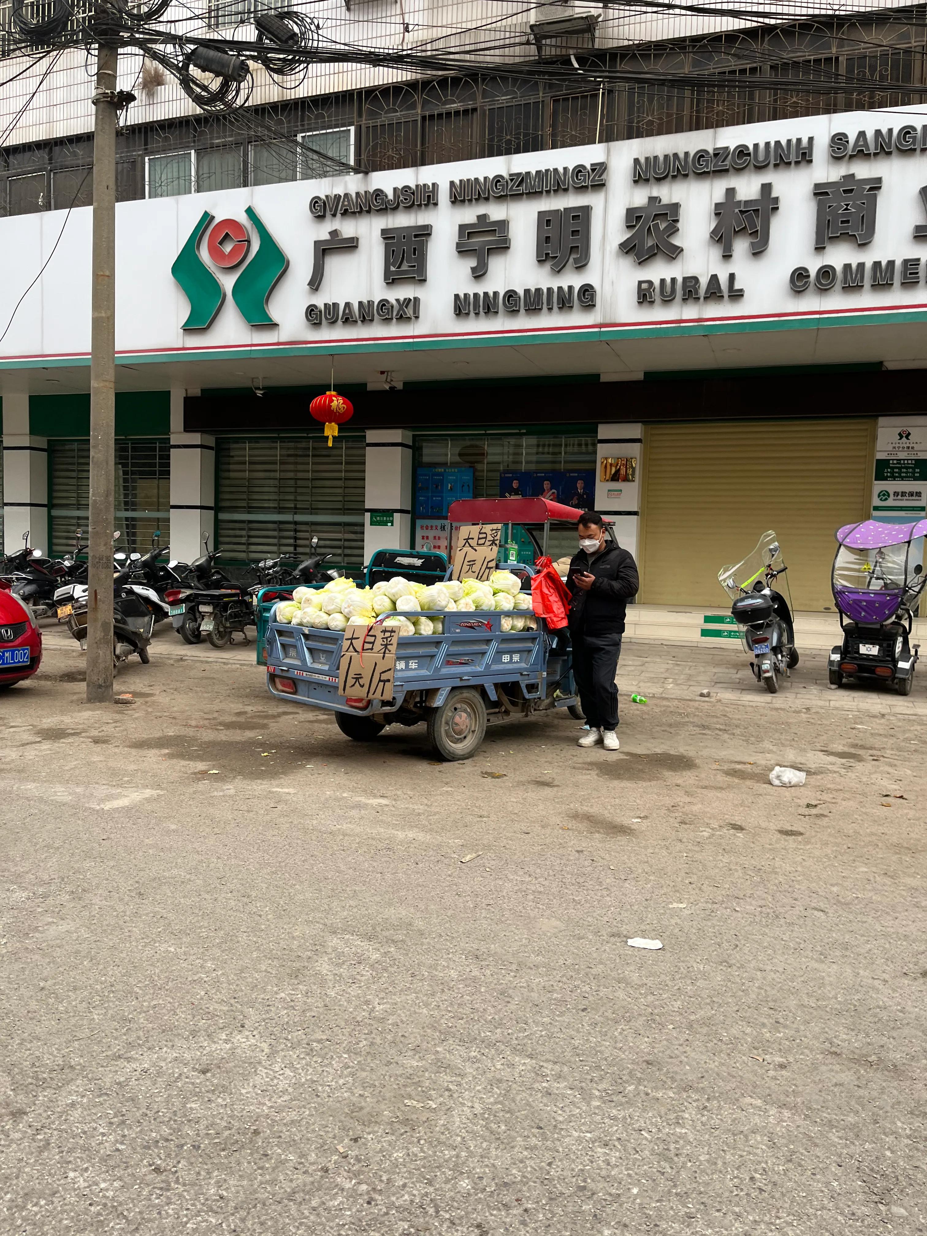 广西乡下特产有哪些,南宁广西特产批发一条街在哪里