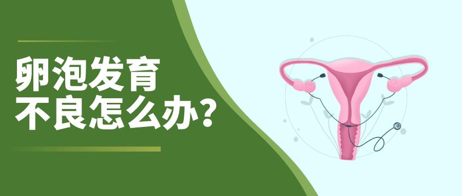 雌激素低会引起卵泡发育不良吗,卵泡发育不良不排卵激素检查正常