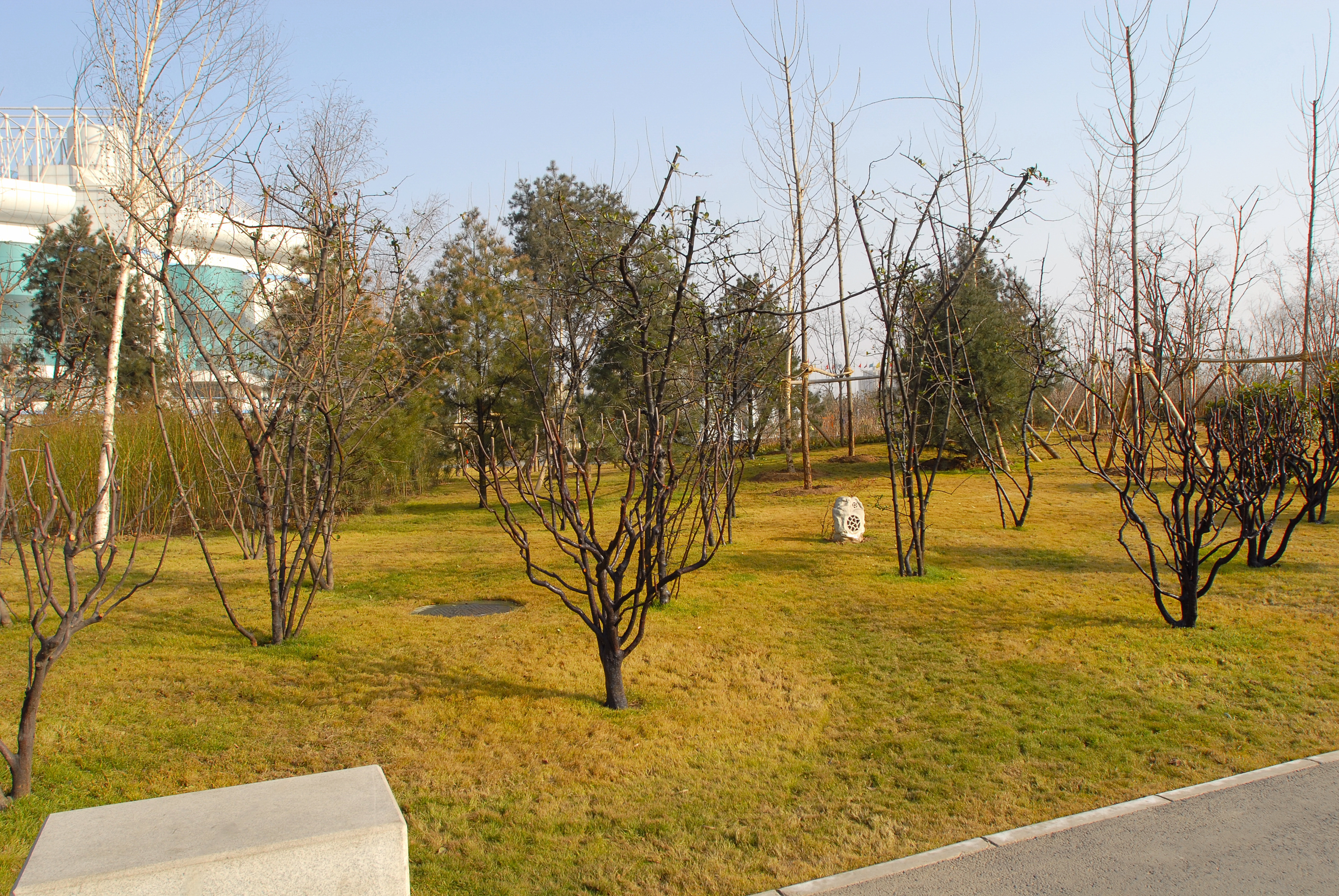 2007年的西安城市运动公园