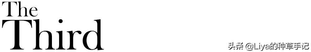 薄绒半裙,薄羊绒半裙的款式