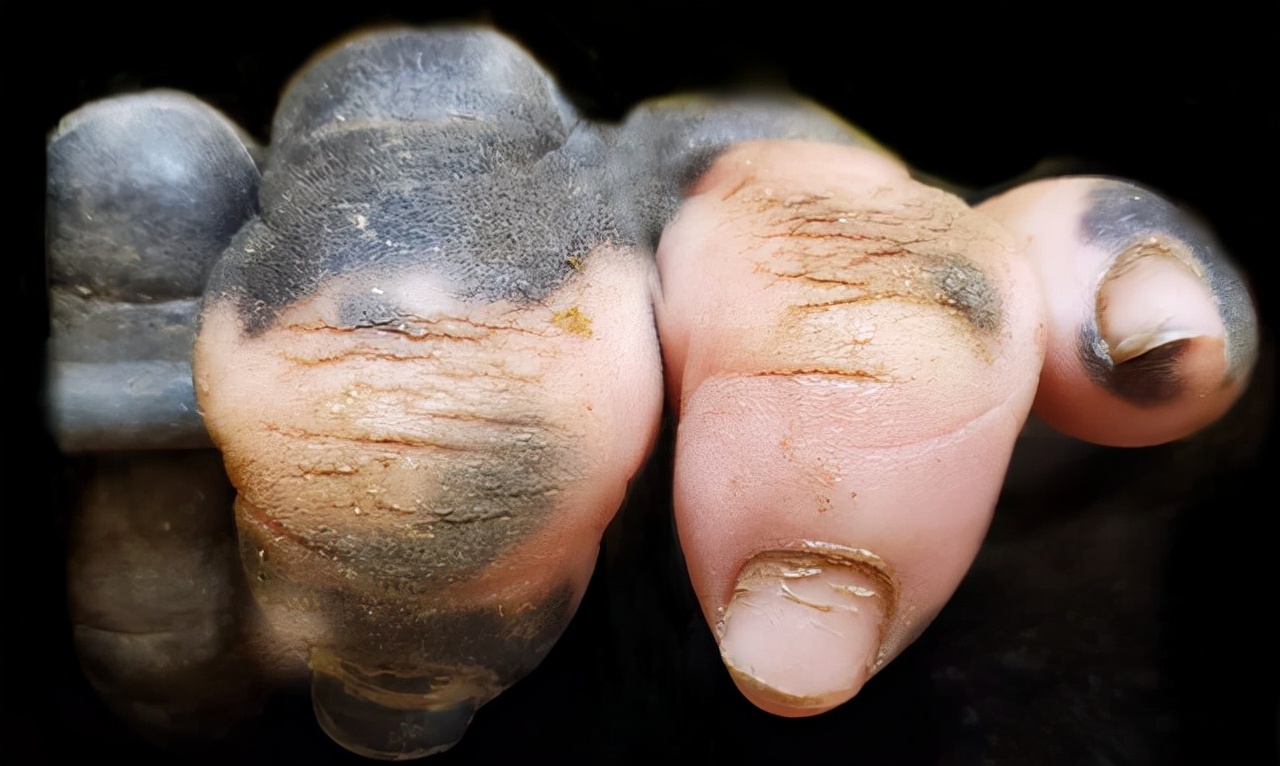 30张活久未见的图片,30组活久见的照片