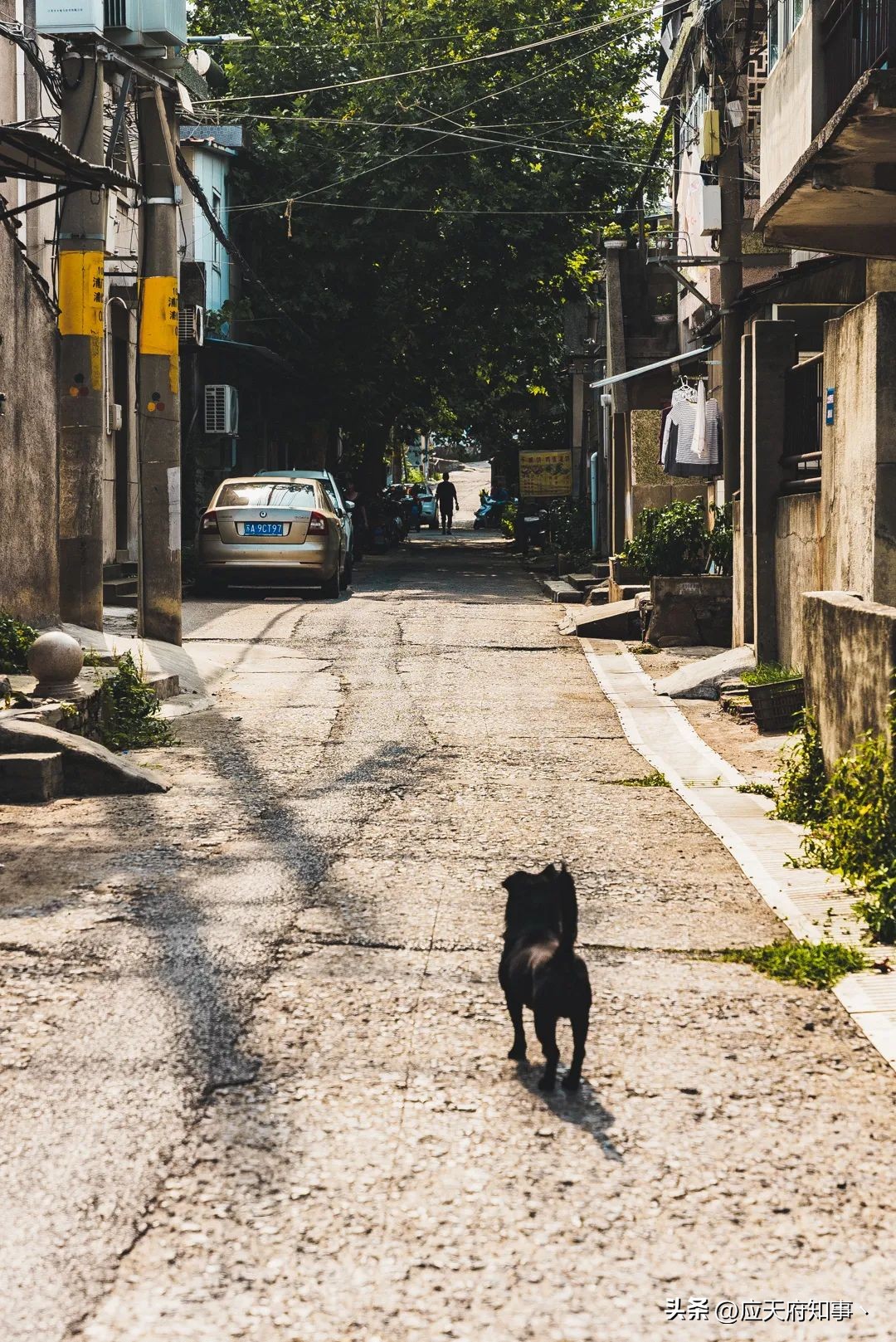 被城市抛弃的地方,被抛弃的城市现状