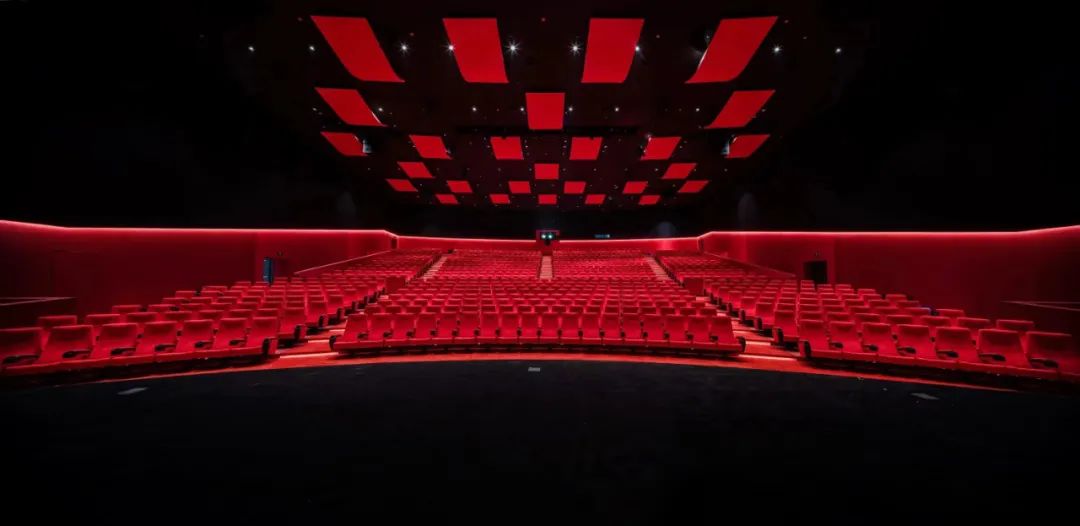 上影节电影展,电影盛宴