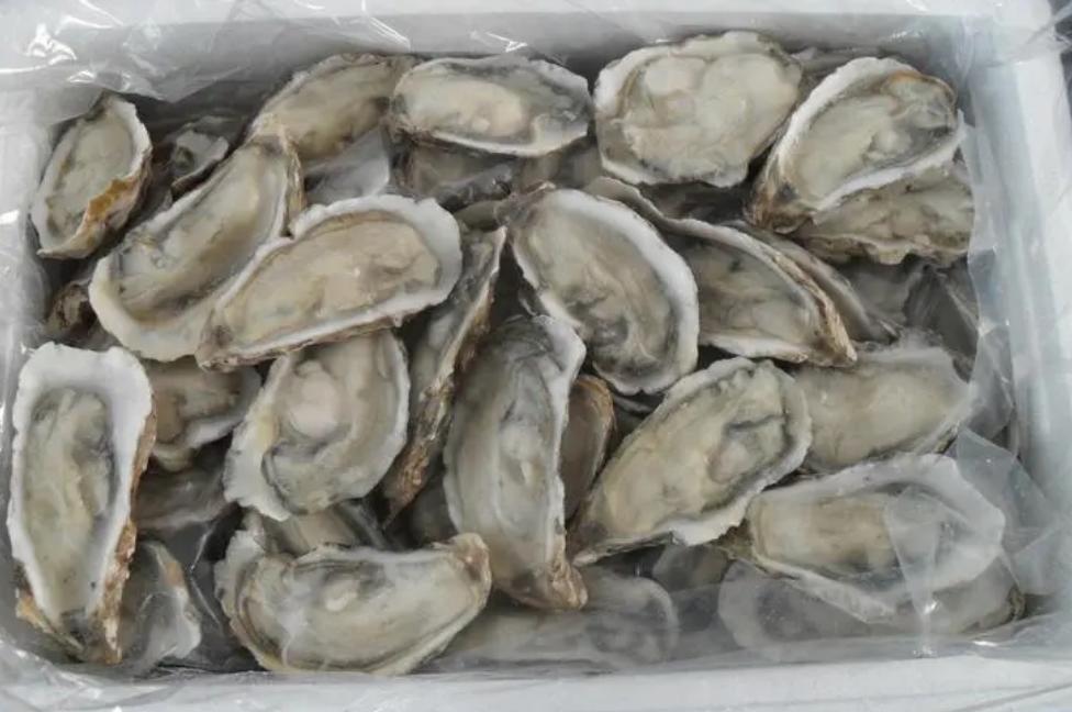 气滞血瘀子宫肌瘤中药方,千古名方软坚散结