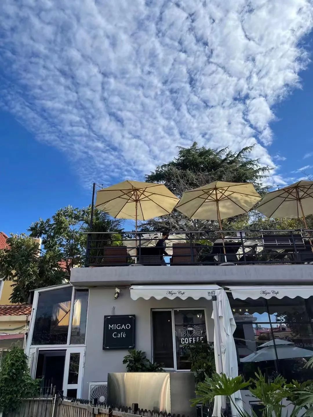 四月来青岛不可错过的打卡地,青岛绝美打卡点