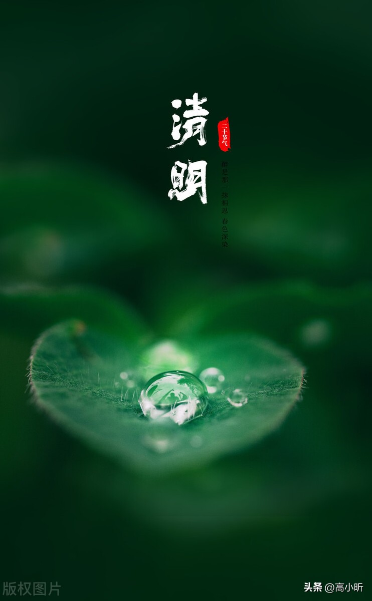 4月5日清明节禁忌,日历4月5日清明节禁忌