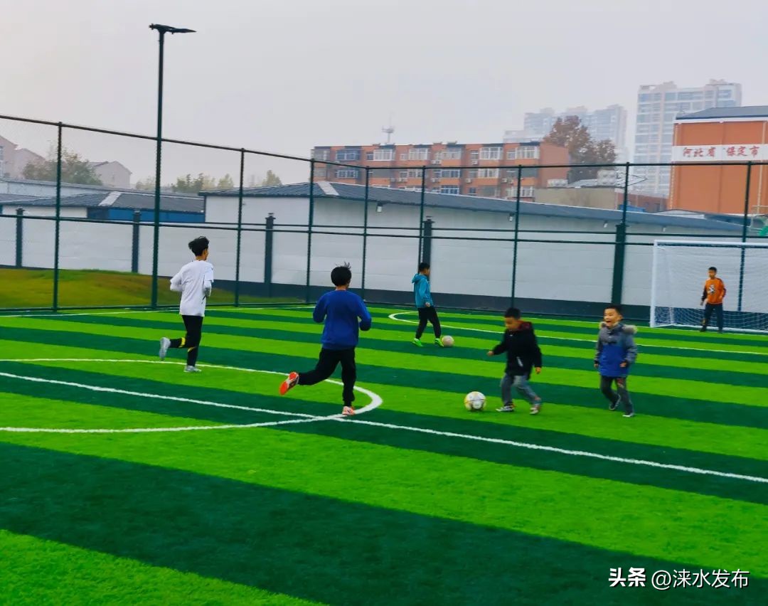 附近的免费开放球场,免费开放的球场在哪里