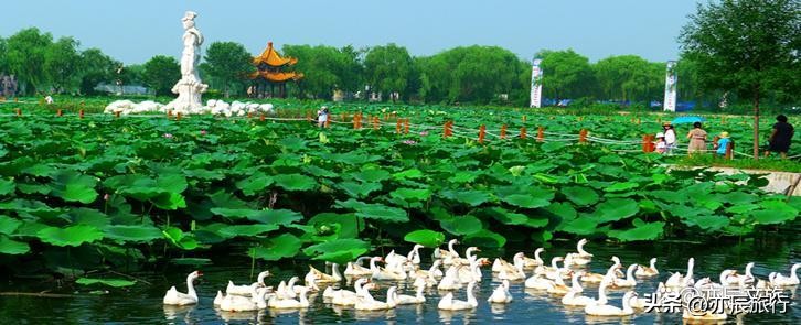 潍坊必去景点排行,潍坊市区旅游必去十大景点