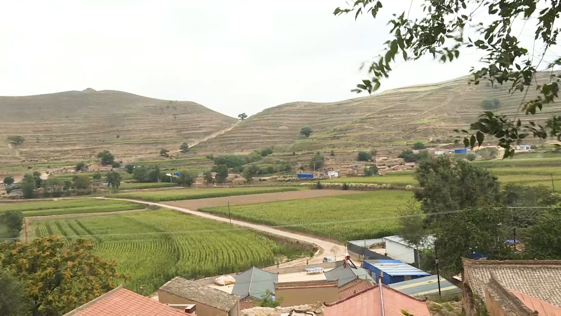 「会宁好典型」崔云泽：尊老爱幼扬美德邻里友善传佳话