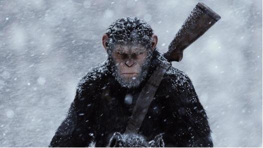 在哪下车载mp4格式的视频,车载mp4视频怎么下载