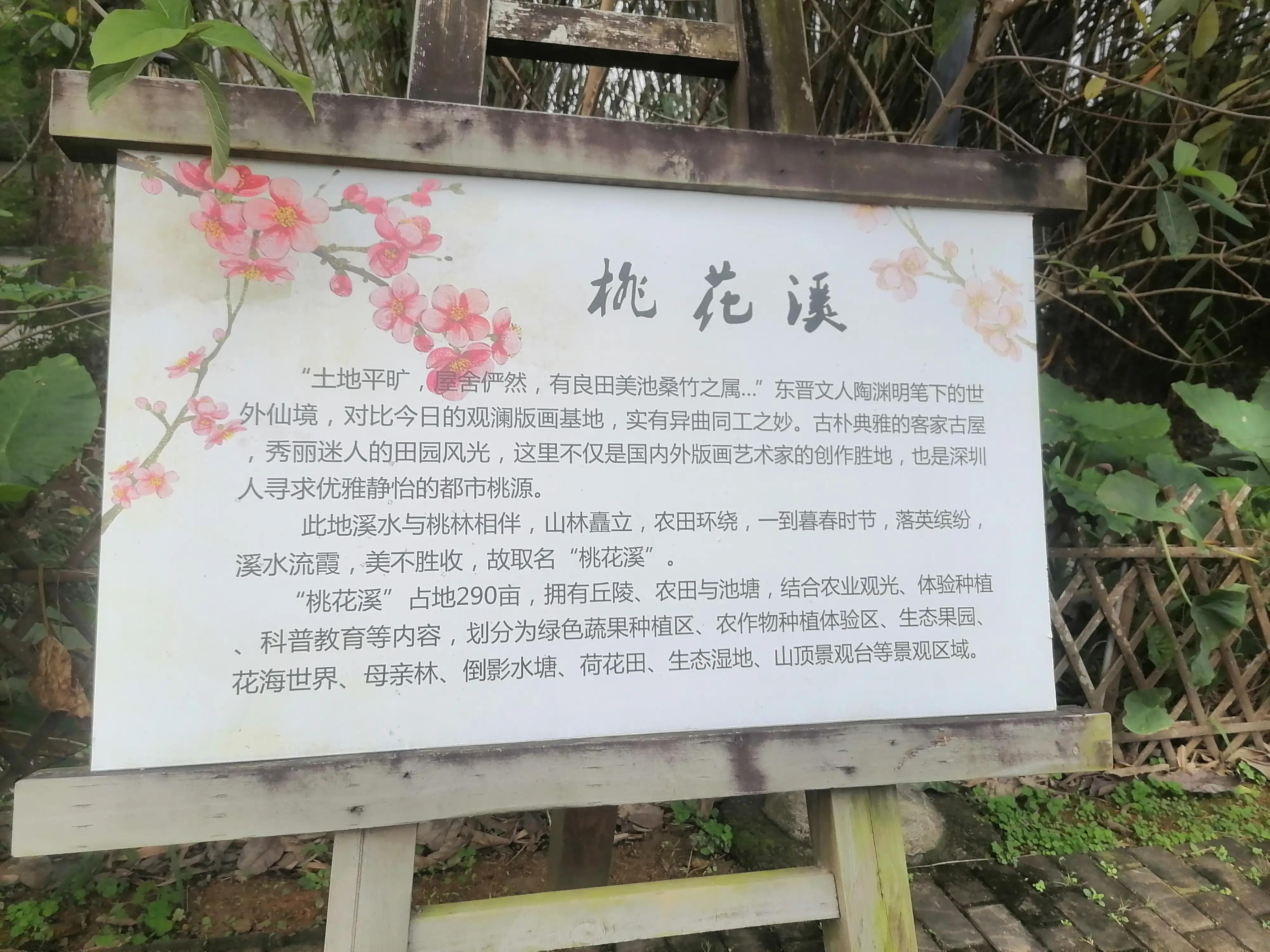 深圳观澜版画村景点,深圳十大客家古村落打卡甘坑古镇