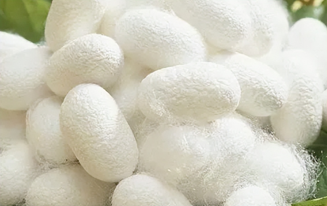 穿来穿去还是黑白配最高级,开衫薄毛衣外套时髦洋气