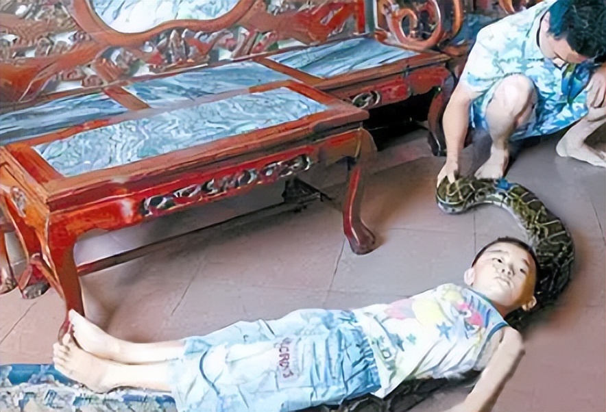 海南报恩巨蟒现况,巨蟒为报恩守护十几年